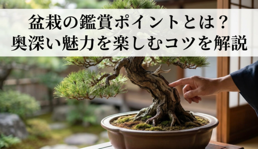 盆栽の鑑賞ポイントとは？奥深い魅力を楽しむコツを解説