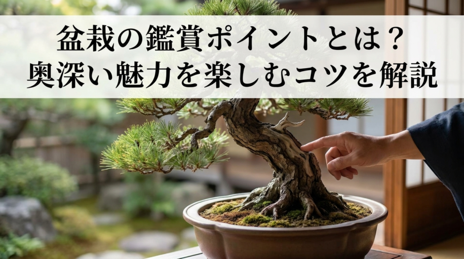 盆栽の鑑賞ポイントとは？奥深い魅力を楽しむコツを解説