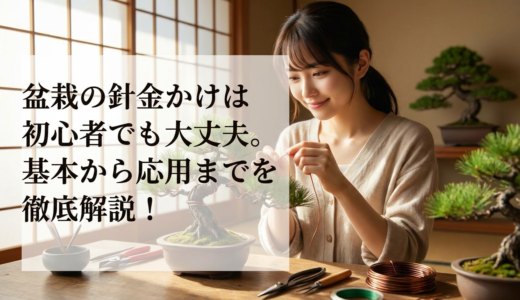 盆栽の針金かけは初心者でも大丈夫。基本から応用までを徹底解説！