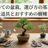 初めての盆栽、選び方の基本。必要な道具とおすすめの樹種を解説