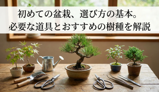 初めての盆栽、選び方の基本。必要な道具とおすすめの樹種を解説