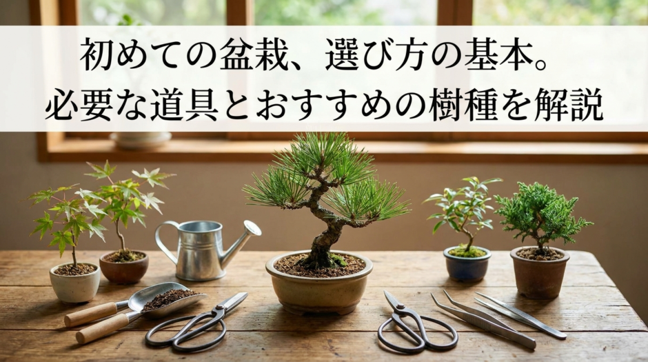 初めての盆栽、選び方の基本。必要な道具とおすすめの樹種を解説