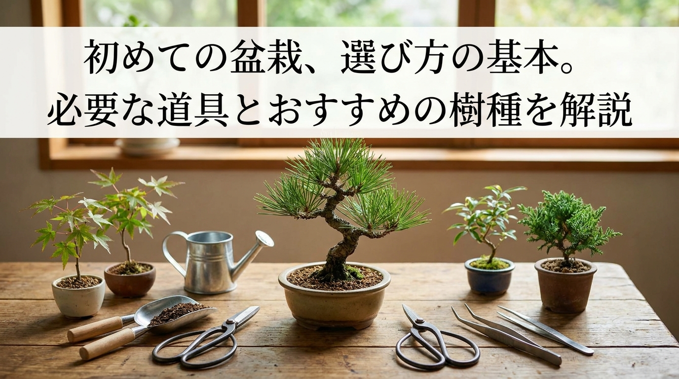 初めての盆栽、選び方の基本。必要な道具とおすすめの樹種を解説