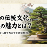 日本の伝統文化、盆栽の魅力とは？その歴史から育て方までを徹底解説。