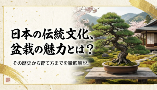 日本の伝統文化、盆栽の魅力とは？その歴史から育て方までを徹底解説。