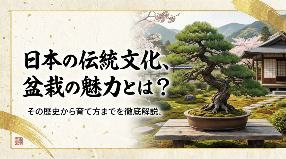 日本の伝統文化、盆栽の魅力とは？その歴史から育て方までを徹底解説。