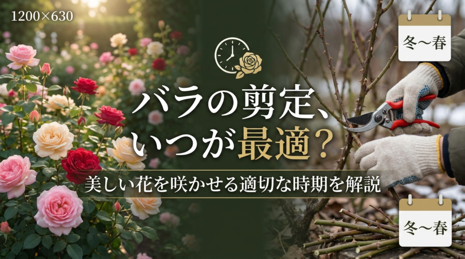バラの剪定、いつが最適？美しい花を咲かせる適切な時期を解説