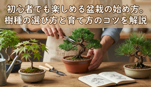 初心者でも楽しめる盆栽の始め方。樹種の選び方と育て方のコツを解説