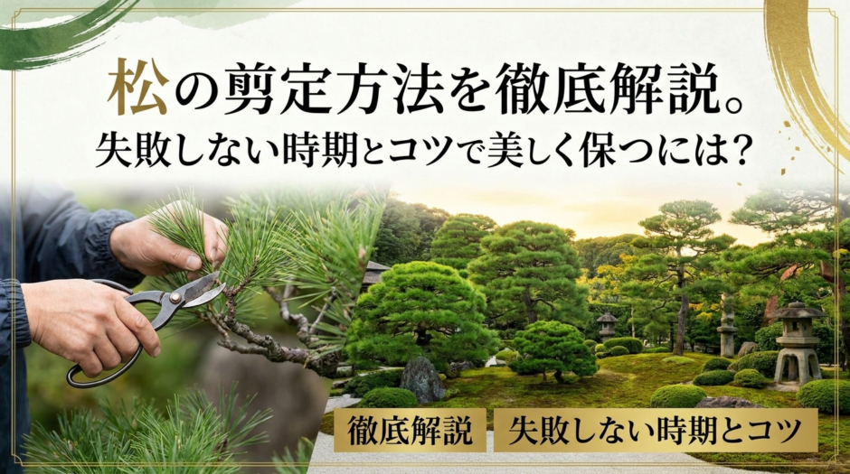 松の剪定方法を徹底解説。失敗しない時期とコツで美しく保つには？