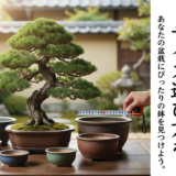 盆栽鉢のサイズ選び方を徹底解説。あなたの盆栽にぴったりの鉢を見つけよう。