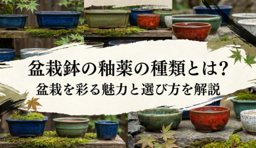 盆栽鉢の釉薬の種類とは？盆栽を彩る魅力と選び方を解説