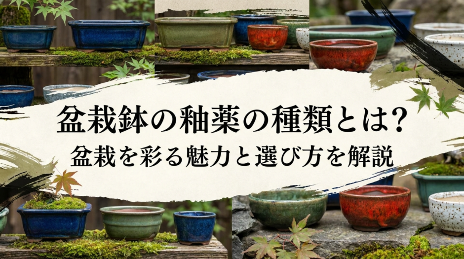 盆栽鉢の釉薬の種類とは？盆栽を彩る魅力と選び方を解説