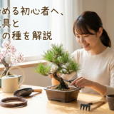 盆栽を始める初心者へ、必要な道具とおすすめの種類を解説