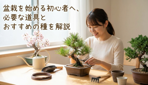 盆栽を始める初心者へ、必要な道具とおすすめの種類を解説