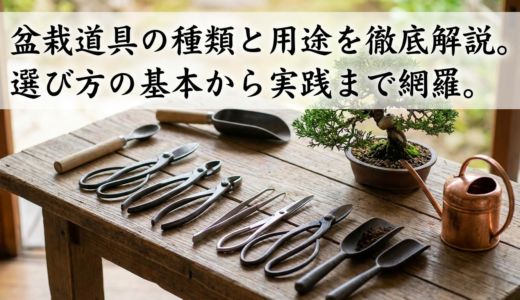 盆栽道具の種類と用途を徹底解説。選び方の基本から実践まで網羅。
