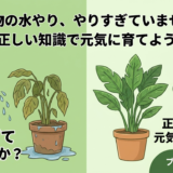 観葉植物の水やり、やりすぎていませんか?正しい知識で元気に育てよう
