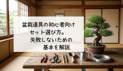 盆栽道具の初心者向けセット選び方。失敗しないための基本を解説