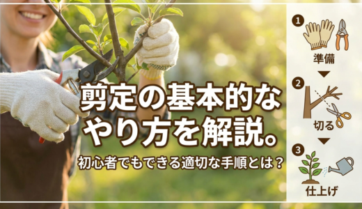剪定の基本的なやり方を解説。初心者でもできる適切な手順とは？