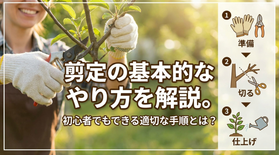 剪定の基本的なやり方を解説。初心者でもできる適切な手順とは？