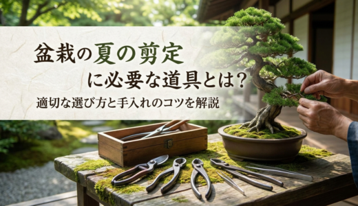盆栽の夏の剪定に必要な道具とは？適切な選び方と手入れのコツを解説