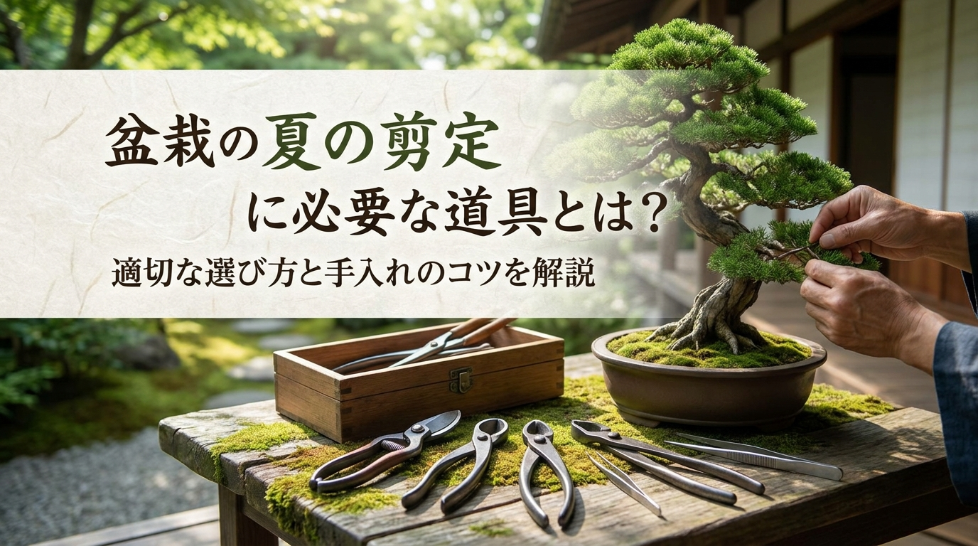 盆栽の夏の剪定に必要な道具とは？適切な選び方と手入れのコツを解説