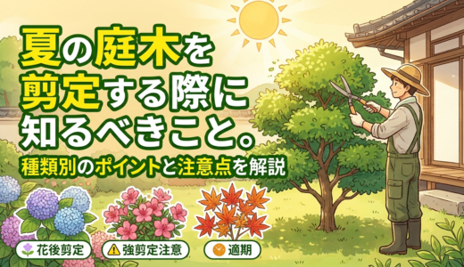 夏の庭木を剪定する際に知るべきこと。種類別のポイントと注意点を解説