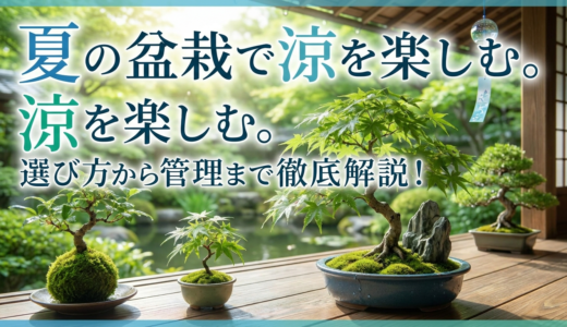 夏の盆栽で涼を楽しむ。選び方から管理まで徹底解説！