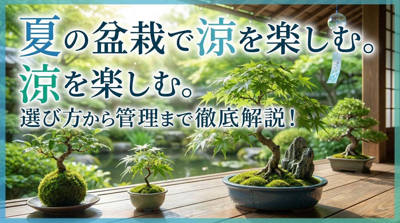 夏の盆栽で涼を楽しむ。選び方から管理まで徹底解説！