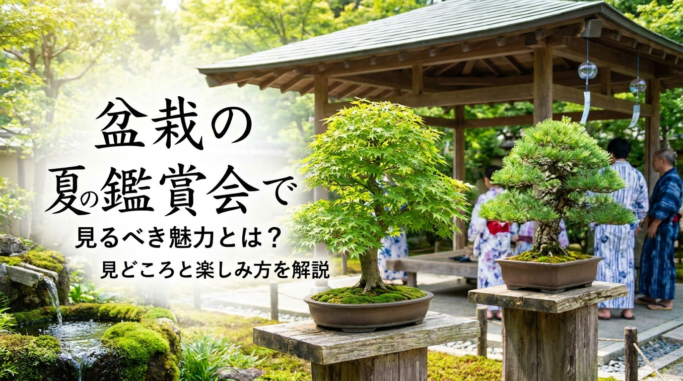 盆栽の夏の鑑賞会で見るべき魅力とは？見どころと楽しみ方を解説