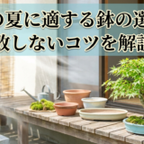 盆栽の夏に適する鉢の選び方。失敗しないコツを解説！