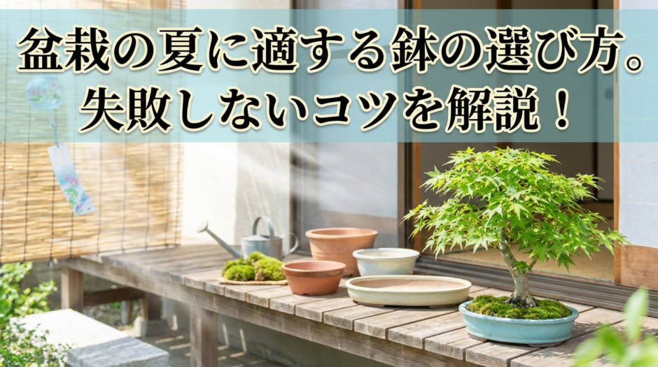 盆栽の夏に適する鉢の選び方。失敗しないコツを解説！