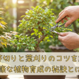 夏の芽切りと葉刈りのコツを解説。健康な植物育成の秘訣とは？