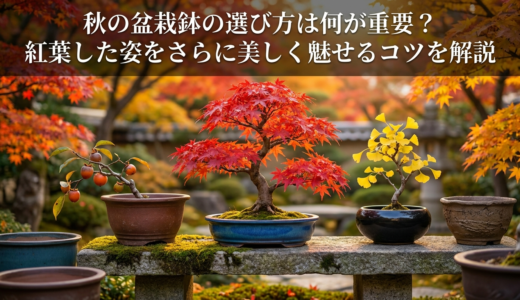 秋の盆栽鉢の選び方は何が重要？紅葉した姿をさらに美しく魅せるコツを解説