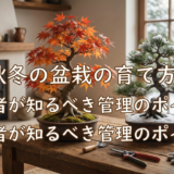 秋冬の盆栽の育て方。初心者が知るべき管理のポイント