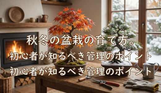 秋冬の盆栽の育て方。初心者が知るべき管理のポイント