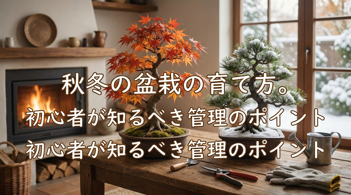 秋冬の盆栽の育て方。初心者が知るべき管理のポイント