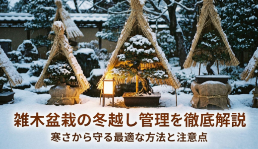 雑木盆栽の冬越し管理を徹底解説。寒さから守る最適な方法と注意点。