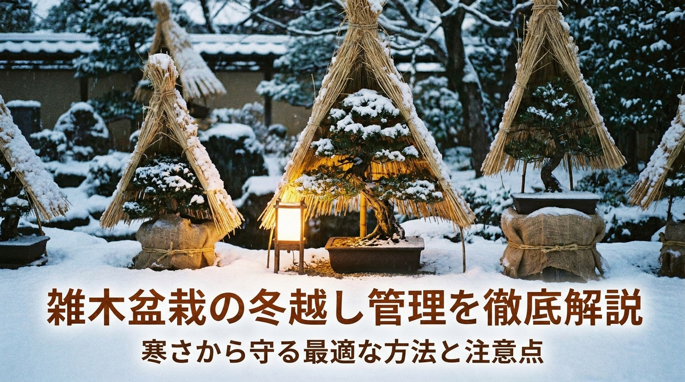 雑木盆栽の冬越し管理を徹底解説。寒さから守る最適な方法と注意点。
