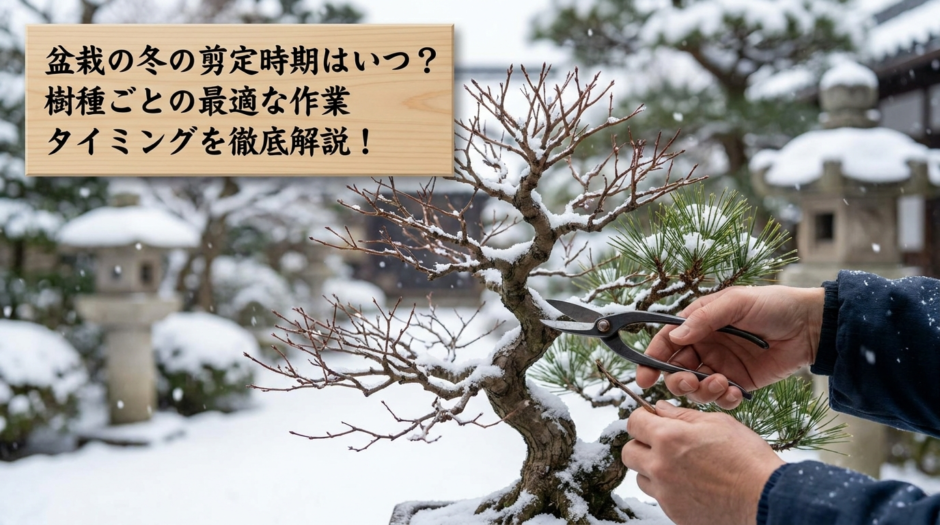 盆栽の冬の剪定時期はいつ？樹種ごとの最適な作業タイミングを徹底解説！