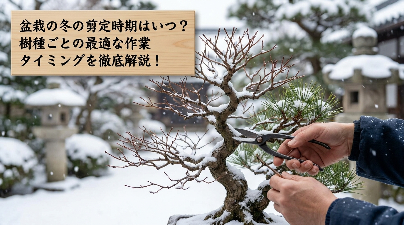 盆栽の冬の剪定時期はいつ？樹種ごとの最適な作業タイミングを徹底解説！
