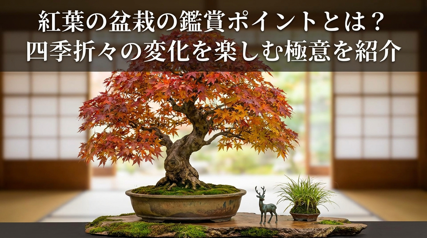 紅葉の盆栽の鑑賞ポイントとは？四季折々の変化を楽しむ極意を紹介