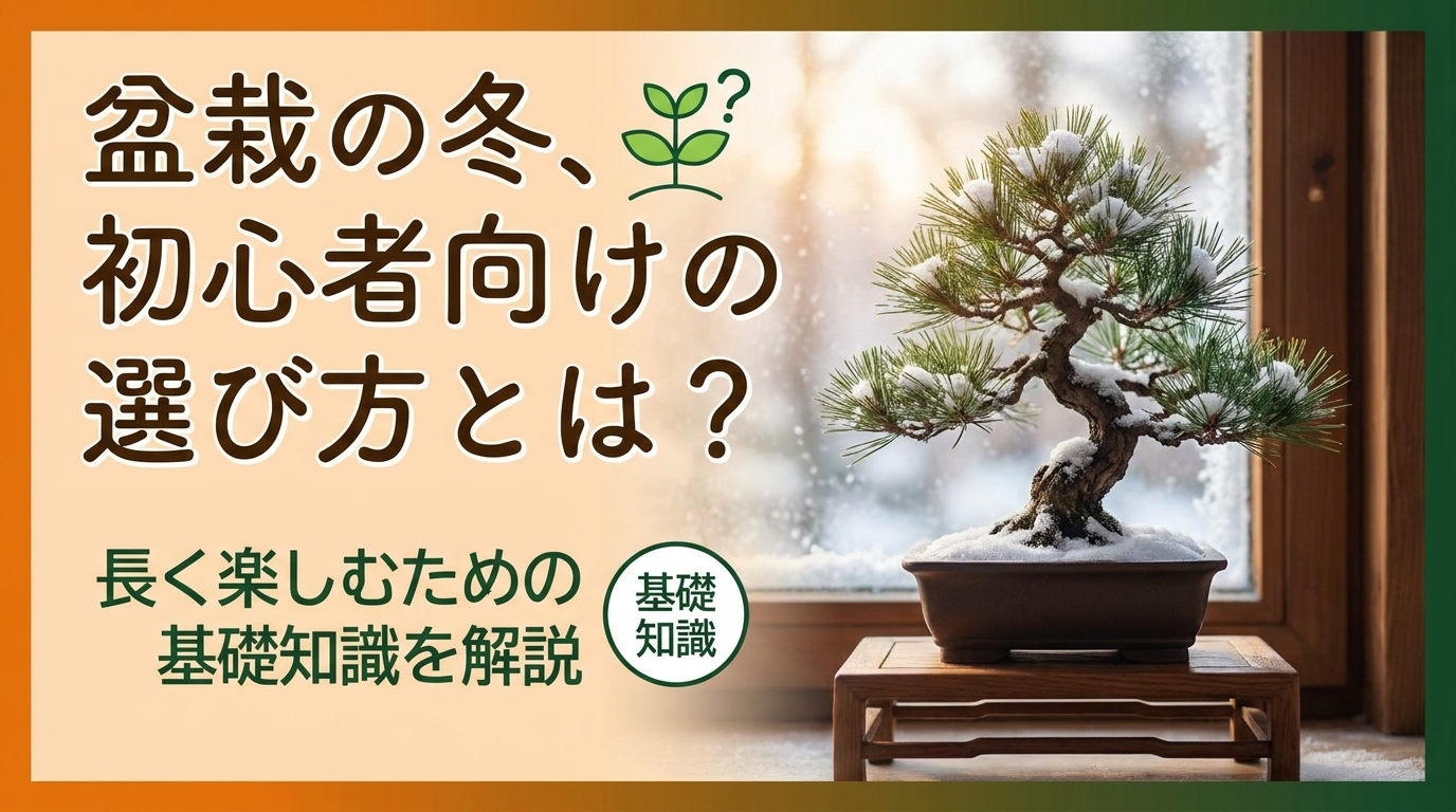 盆栽の冬、初心者向けの選び方とは？長く楽しむための基礎知識を解説